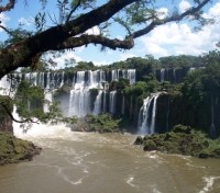 Argentine Side of Iguassu Park 